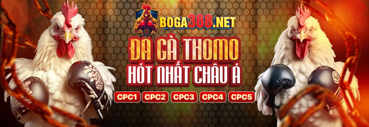 Đá gà trực tuyến 188bet 250 uy tín